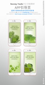 绿色商务手机app引导页psd