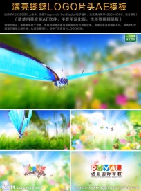 漂亮蝴蝶LOGO片头AE模板