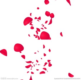 flash花瓣动画效果