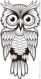 素描画猫头鹰