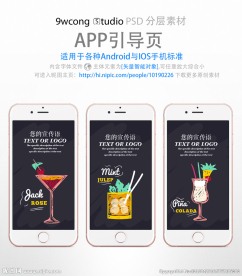 鸡尾酒风格app引导页psd