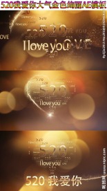 520我爱你金色大气AE模板