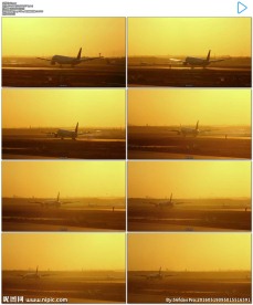 金色晨雾飞机降落