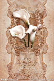 经典怀旧花纹马蹄莲花朵玄关