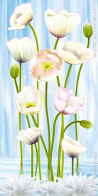 优雅郁金香花朵花卉玄关