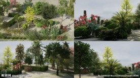 个人整理常用实模植物