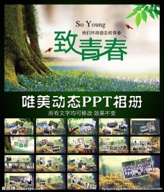 致青春动态PPT相册