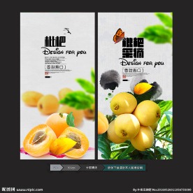 枇杷
