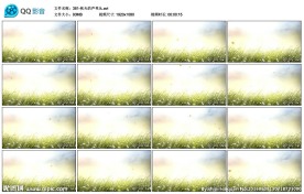 秋天的芦苇丛舞蹈歌舞LED背景