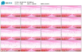 粉色花瓣雨婚礼婚庆浪漫背景视频