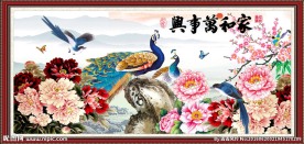 花开富贵