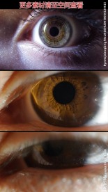 眼瞳特写实拍视频素材