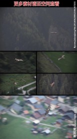 雄鹰山间飞翔实拍视频素材