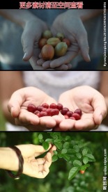 美女手捧果实高清实拍视频素材