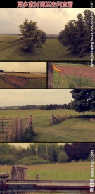 欧美乡土农场一角风光实拍视频