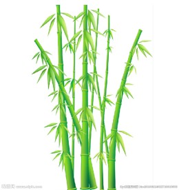 竹子图片矢量图