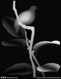 檀雕花鸟浮雕灰度图