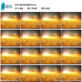 金色麦浪无缝循环秋天麦子背景