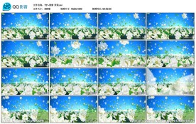 清新茉莉花舞台演出歌曲舞蹈背景