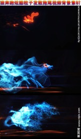 狼奔跑炫酷粒子特效视频背景素材