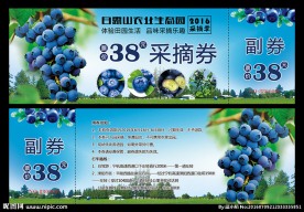 蓝莓采摘券