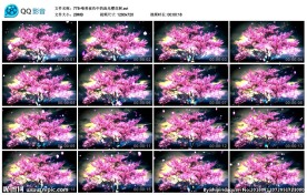 唯美夜色中的流光樱花树樱花背景