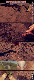 翻土整地播种种植浇水灌溉高清