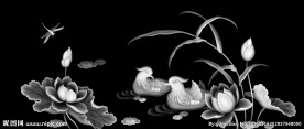 鸳鸯荷花灰度图