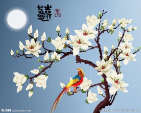 花开富贵