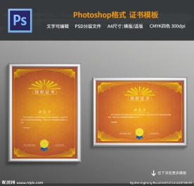 橙色授权书模板