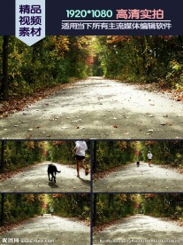 公园带狗晨跑的女孩