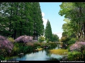 河道绿化