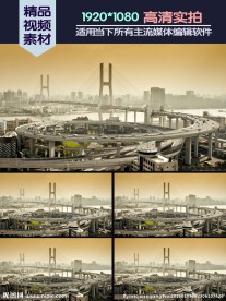 上海南浦大桥白天交通