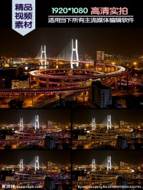 上海南浦大桥夜间交通车流线