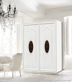 花纹 移门 衣柜门 推拉门