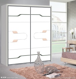 花纹 移门 衣柜门 推拉门