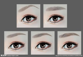 AI逼真眼睛眉毛矢量图