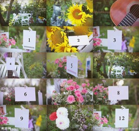 清新的夏日花园照片展示AE模板