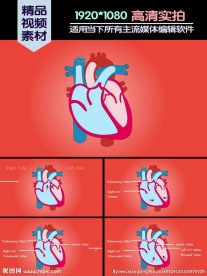 心脏基本功能介绍演示动画