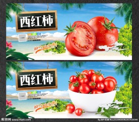 西红柿