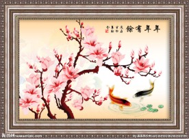 玉兰花