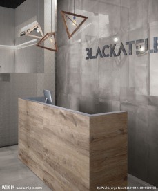 瓷砖效果图  玄关