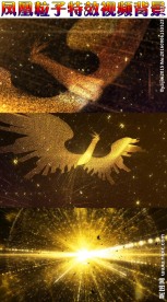 凤凰视频金凤凰凤凰背景led