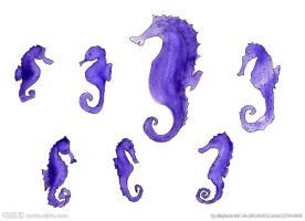 水彩海马