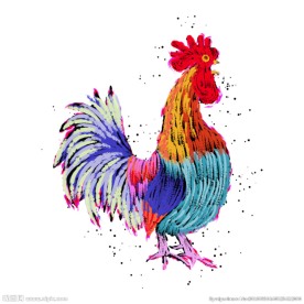手绘公鸡