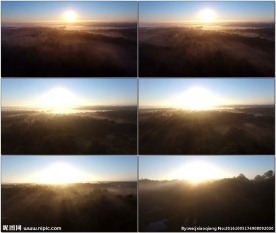 航拍早上森林阳光晨雾