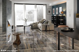 瓷砖效果较长  客厅