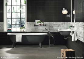 瓷砖效果图  卫生间