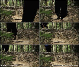 美女丛林步行游玩