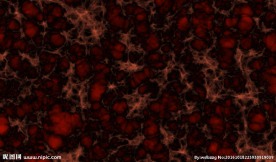 感染细胞循环动画背景